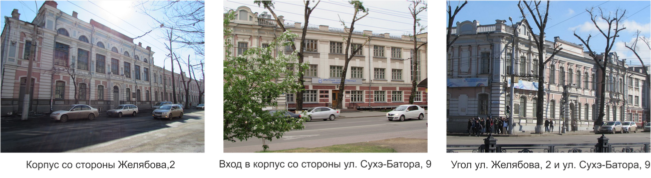 институт трио